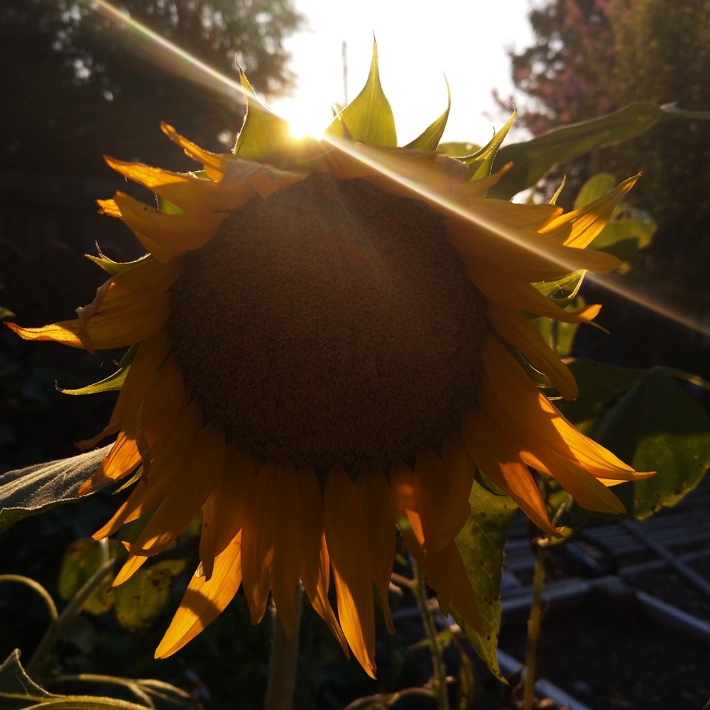 Meet your Posher, Naomi